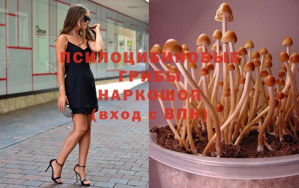синтетический гашиш Няндома
