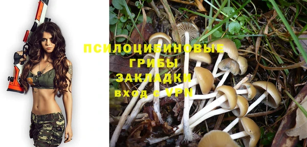 синтетический гашиш Няндома